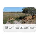 Suche nach savannah magnete Savanne