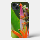 Suche nach frosch ipad hüllen Südamerika