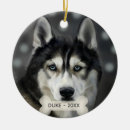 Suche nach husky ornamente Niedlich