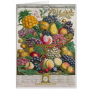 Suche nach zwölf monate postkarten Casteels