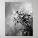 Suche nach brombeere poster Vintag