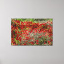 Suche nach beautiful leinwandbilder Rot