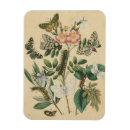 Suche nach insekten magnete Bildstudio