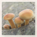 Suche nach stuhl untersetzer Pilz