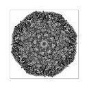 Suche nach yoga stempel Mandala