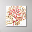 Suche nach menschliche knochen leinwandbilder Komplexität