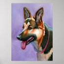 Suche nach german shepherd poster Schäfer