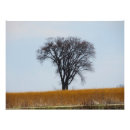 Suche nach indische geschichte poster Jede person