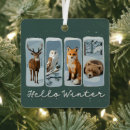 Suche nach wintertier ornamente Festlich