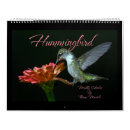 Suche nach kolibris kalender Fotografie