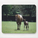 Suche nach stute mousepads Natur