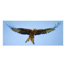 Suche nach beute poster Raptor