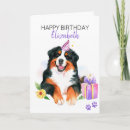 Suche nach bernese mountain dog karten Berner hund