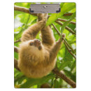 Suche nach wild lebende tiere klemmbrett Natur