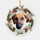 Suche nach rhodesian ridgeback ornamente Hund