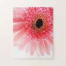 Suche nach gerbera puzzle Blume