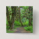 Suche nach olympisch buttons Wald