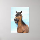 Suche nach der blaue reiter leinwandbilder Pferd