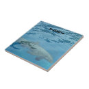 Suche nach unterwasser fliesen Jede person
