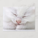 Suche nach extrem postkarten Studioaufnahme