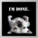 Suche nach babytiere poster Fotografie