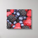 Suche nach himbeere leinwandbilder Blackberry