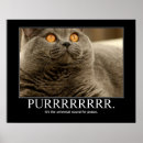 Suche nach schnurren poster Katze