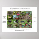 Suche nach südostasien poster Für alle