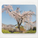 Suche nach kyoto mousepads Kirschblüte