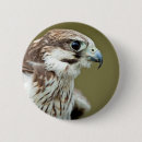 Suche nach raubvogel accessoires Jäger