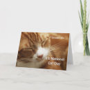 Suche nach 29 karten Katze