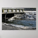 Suche nach protokoll poster Fotografie