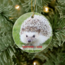 Suche nach igel weihnachtsschmuck Niedlich