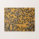 Suche nach honigbienen puzzle Jede person