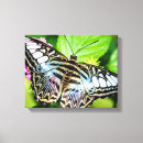 Suche nach pink leinwandbilder Foto