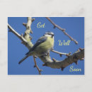 Suche nach blauer vogel karten Jede person