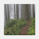 Suche nach moos magnete Wanderweg