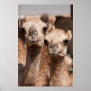 Suche nach al poster Dubai