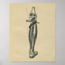 Suche nach menschliches bein poster Anatomie