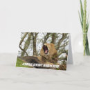 Suche nach brüllen karten Foto