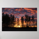 Suche nach roter himmel poster Sonnenuntergang