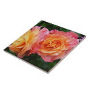 Suche nach orange rosen fliesen Foto