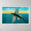 Suche nach katalanisch poster Insel