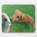Suche nach singapur mousepads Haustiere