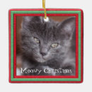 Suche nach kitesurfer ornamente Kitty