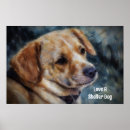 Suche nach tierheim poster Hund
