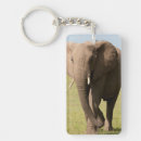 Suche nach afrikanischer elefant schlüsselanhänger Loxodonta africana