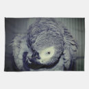 Suche nach afrikanische tiere geschirr tücher Fotografie