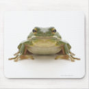 Suche nach verbesserung mousepads Tier