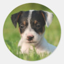 Suche nach jrt aufkleber Niedlich